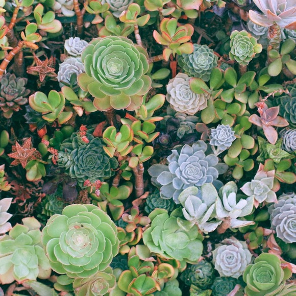 Hi there! - Picture 4 of 6